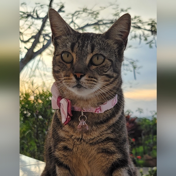 Fashion items - Picture 1 of 1